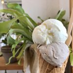 『Hilo Homemade Ice Cream』鵠沼でハワイ発祥の濃厚手作りアイスを食べてきたよ！